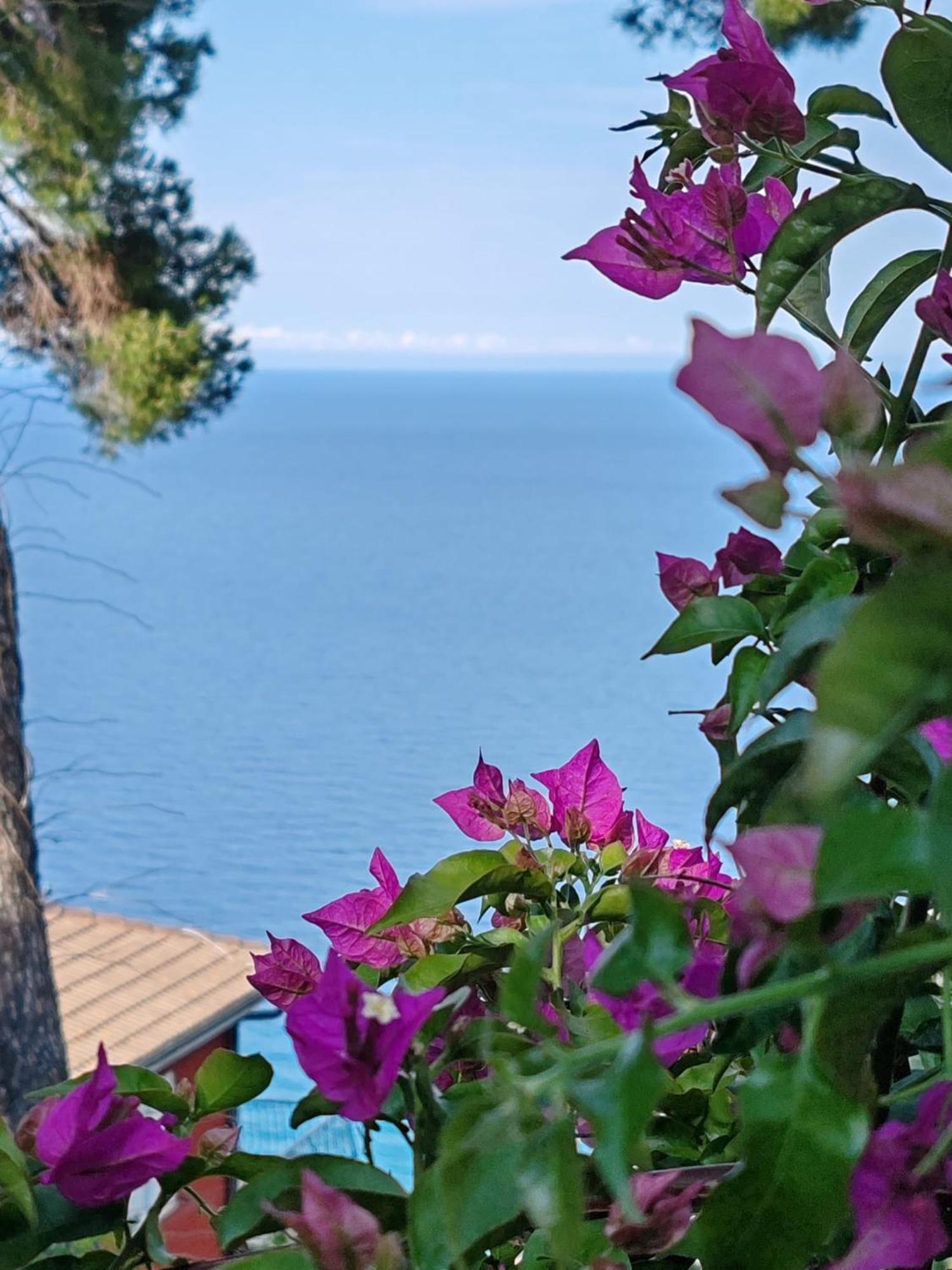 Appartamento Vista Mare Albenga Eksteriør billede